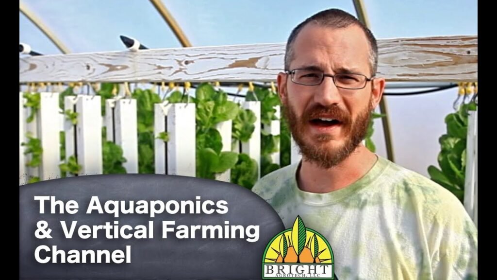 Build Your Own DIY Aquaponics System in Charleston Today